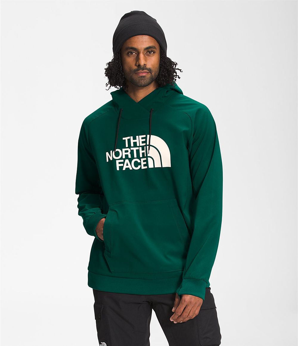 The North Face Tekno Logo Kapuzenpullover Herren - Grün CH-291TTMB